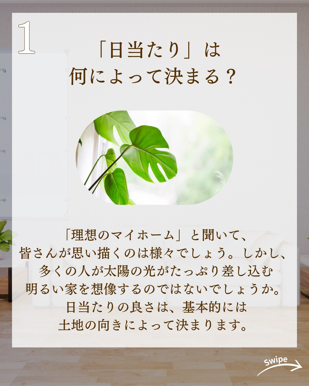 日当たりが最高に良い家の作り方についてご紹介!🌱
