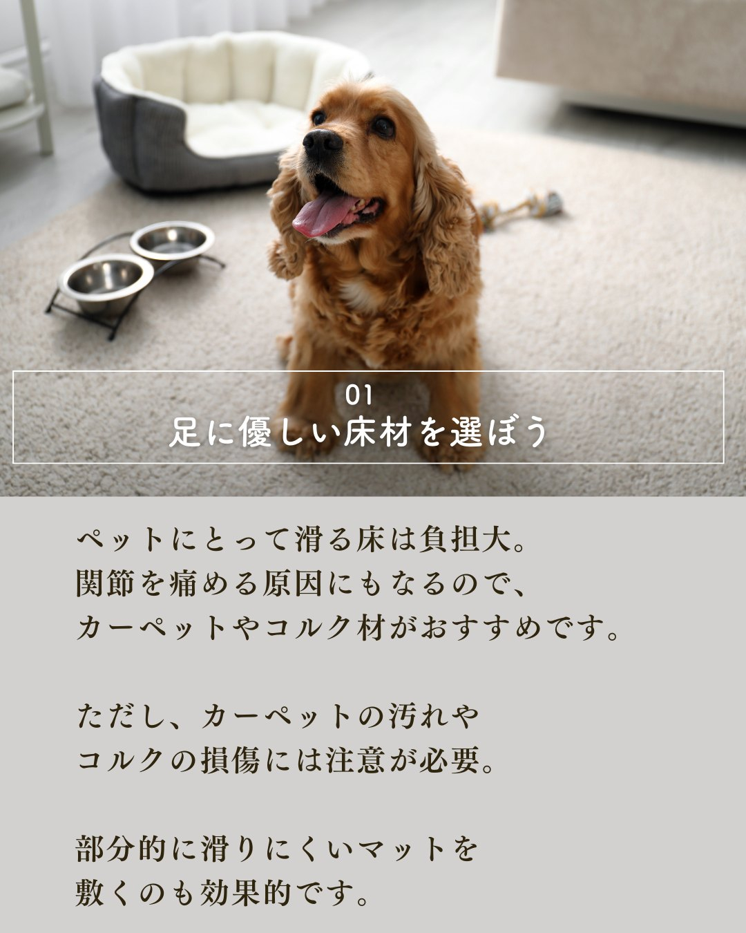 ペットと暮らす家づくりで絶対外せない7つの要素!