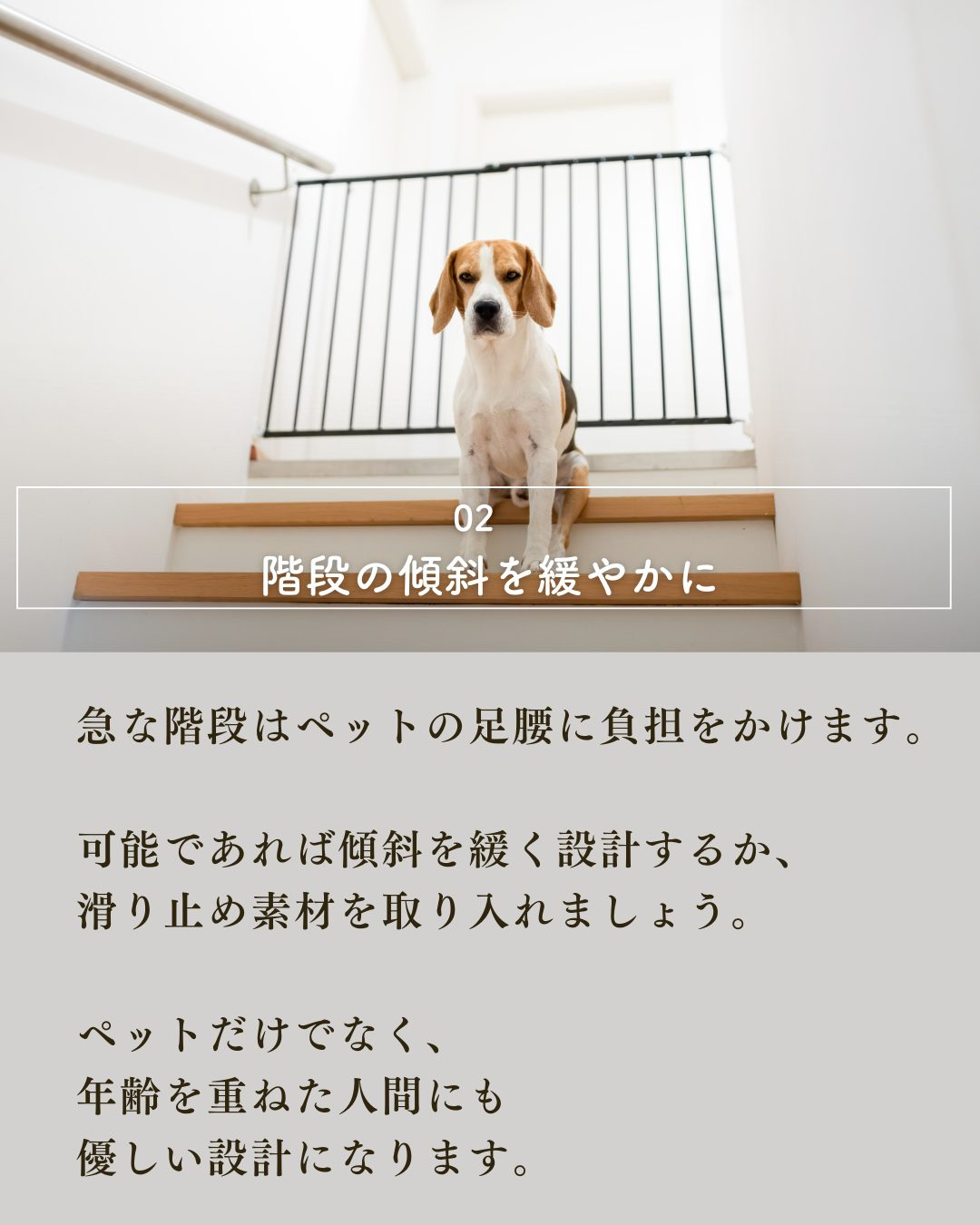ペットと暮らす家づくりで絶対外せない7つの要素!