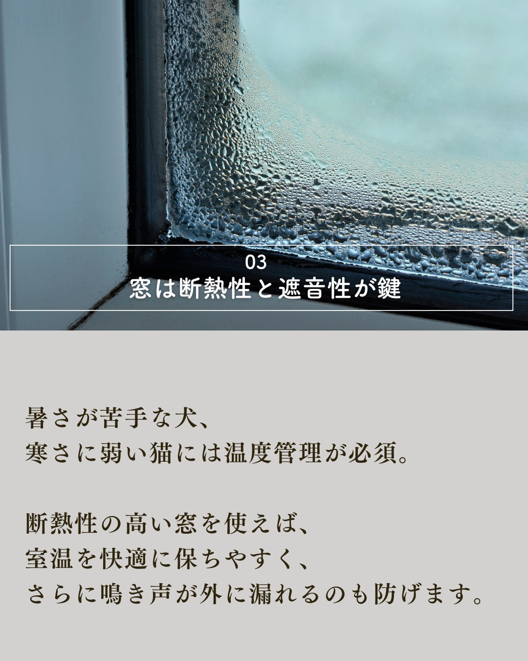 ペットと暮らす家づくりで絶対外せない7つの要素!
