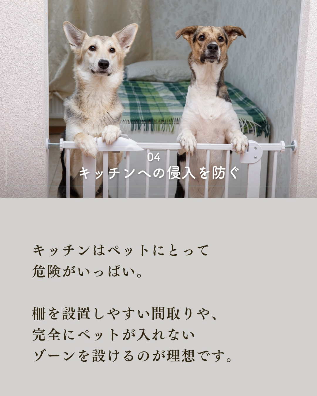 ペットと暮らす家づくりで絶対外せない7つの要素!
