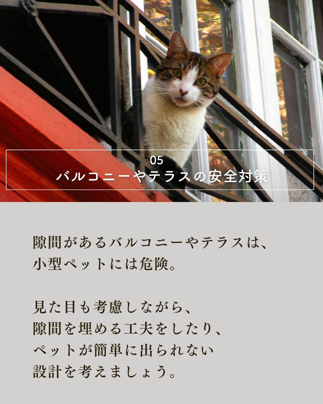 ペットと暮らす家づくりで絶対外せない7つの要素!