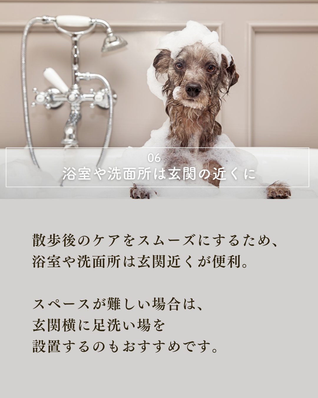 ペットと暮らす家づくりで絶対外せない7つの要素!
