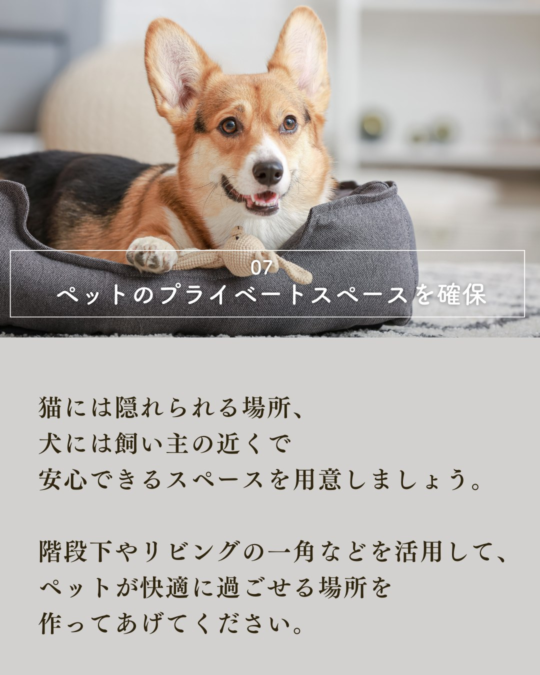 ペットと暮らす家づくりで絶対外せない7つの要素!
